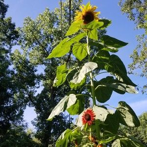 Meet your Posher, Valerie